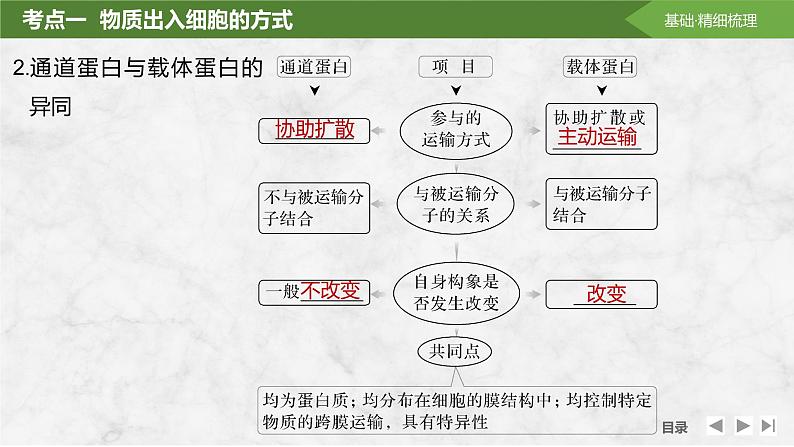 2025届高考 一轮复习 苏教版  物质出入细胞的方式及影响因素 课件(江苏版)07