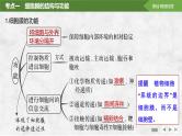 2025届高考 一轮复习 苏教版  细胞膜与细胞核 课件(江苏版)