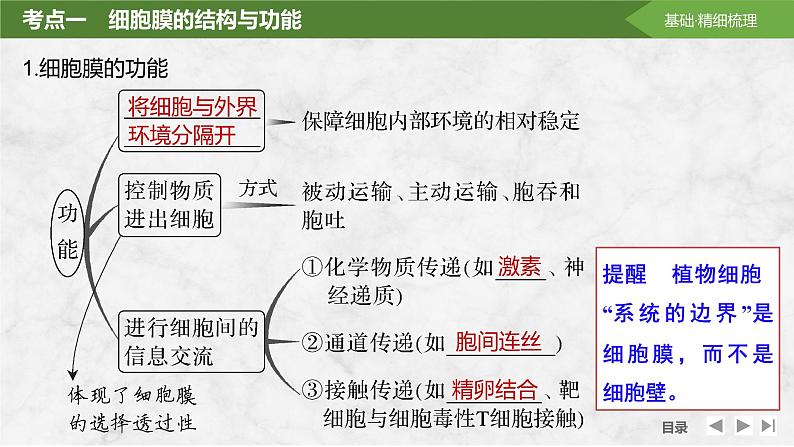 2025届高考 一轮复习 苏教版  细胞膜与细胞核 课件(江苏版)第5页