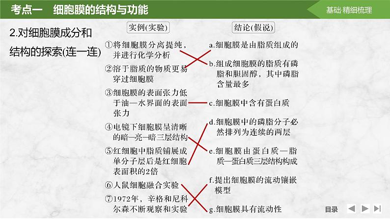 2025届高考 一轮复习 苏教版  细胞膜与细胞核 课件(江苏版)第6页