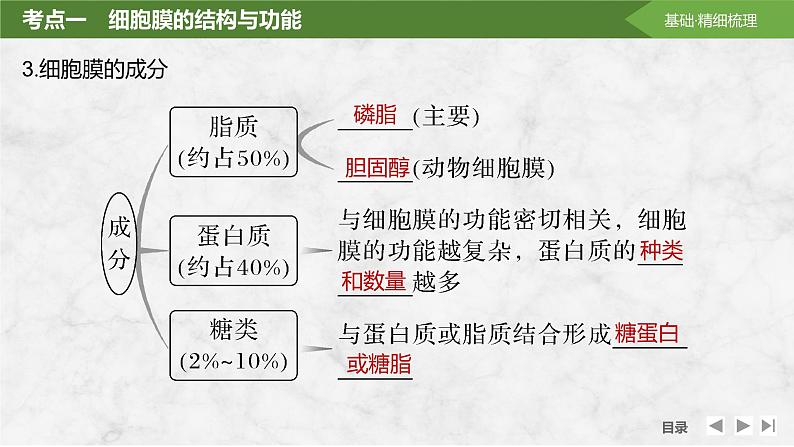 2025届高考 一轮复习 苏教版  细胞膜与细胞核 课件(江苏版)第8页