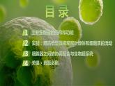 2025届高考 一轮复习 苏教版  细胞器之间的分工合作 课件(江苏版)