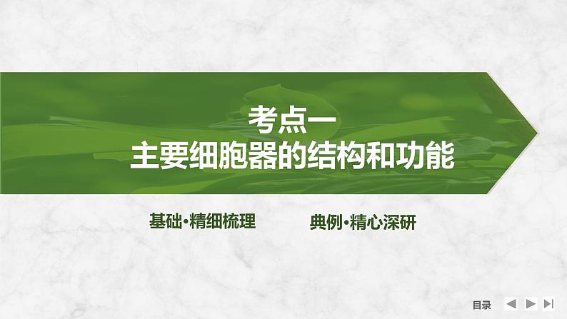 2025届高考 一轮复习 苏教版  细胞器之间的分工合作 课件(江苏版)04