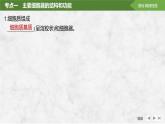 2025届高考 一轮复习 苏教版  细胞器之间的分工合作 课件(江苏版)