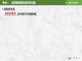 2025届高考 一轮复习 苏教版  细胞器之间的分工合作 课件(江苏版)