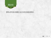2025届高考 一轮复习 苏教版 细胞的能量“货币”ATP 课件(江苏版) (1)