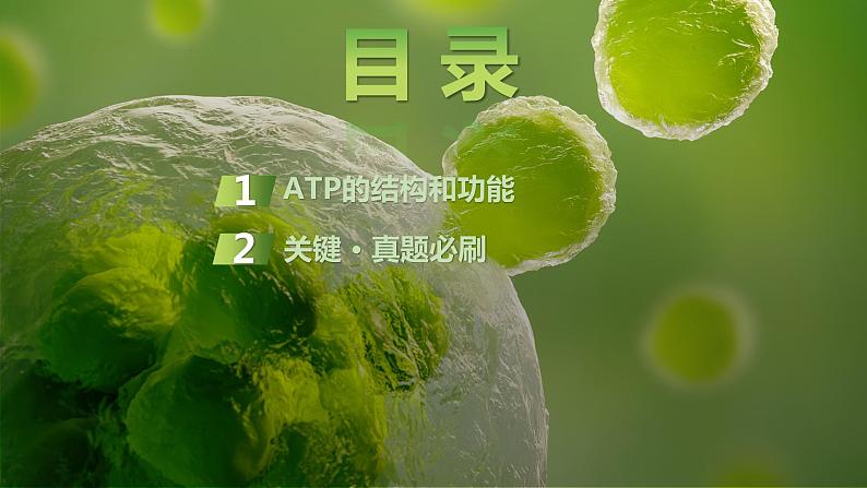 2025届高考 一轮复习 苏教版 细胞的能量“货币”ATP 课件(江苏版) (1)第3页