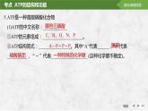 2025届高考 一轮复习 苏教版 细胞的能量“货币”ATP 课件(江苏版) (1)