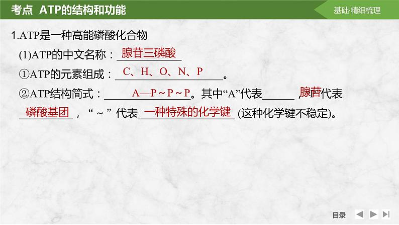 2025届高考 一轮复习 苏教版 细胞的能量“货币”ATP 课件(江苏版) (1)第5页