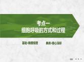 2025届高考 一轮复习 苏教版 细胞的能量“货币”ATP 课件(江苏版) (2)