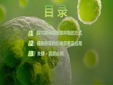 2025届高考 一轮复习 苏教版 细胞呼吸的影响因素及其应用 课件(江苏版)