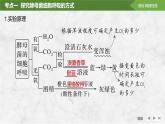 2025届高考 一轮复习 苏教版 细胞呼吸的影响因素及其应用 课件(江苏版)