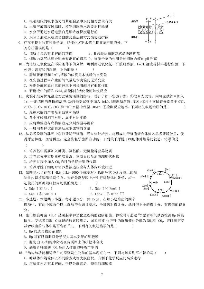 河北省保定市高碑店市崇德实验中学2023-2024学年高二下学期4月月考生物试题（期中）02