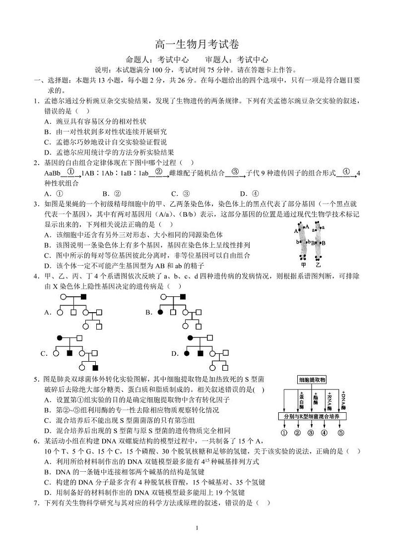 河北省保定市高碑店市崇德实验中学2023-2024学年高一下学期4月月考生物试题（期中）01