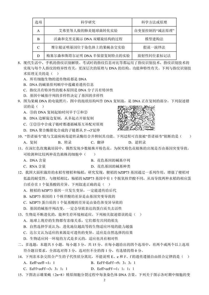 河北省保定市高碑店市崇德实验中学2023-2024学年高一下学期4月月考生物试题（期中）02