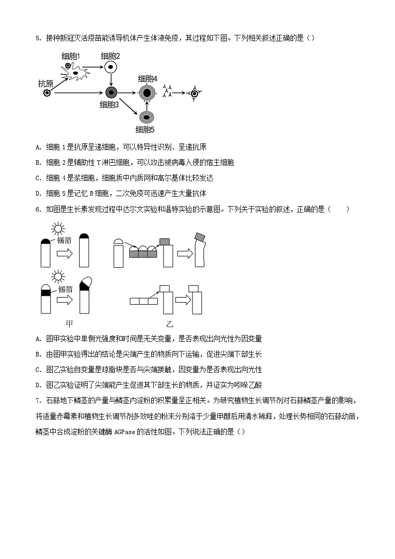 江苏省泰州市2023_2024学年高二生物上学期期中试题含解析02