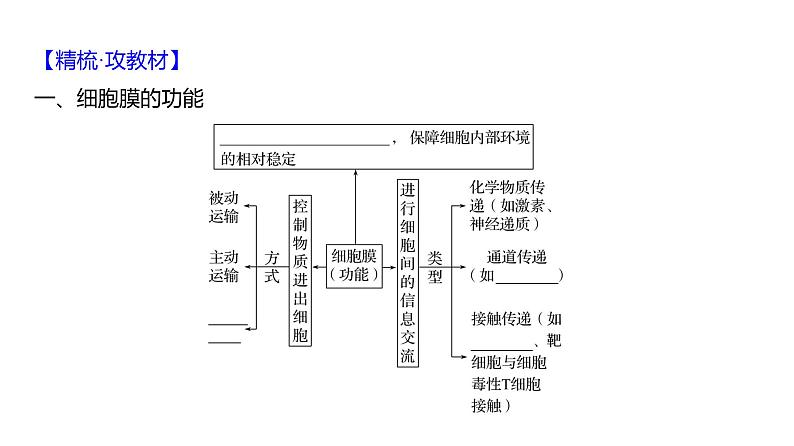 2025届高考 一轮复习 人教版 核酸是遗传信息的携带者 课件(多选版) (2)第4页