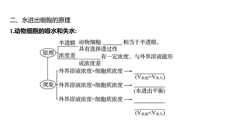 2025届高考 一轮复习 人教版 细胞的物质输入与输出 课件(多选版)06