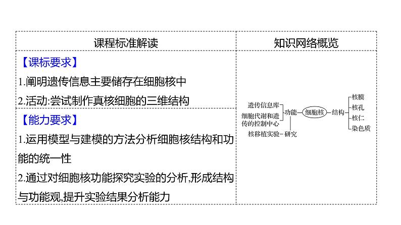 2025届高考 一轮复习 人教版 细胞核的结构和功能 课件(多选版)第2页