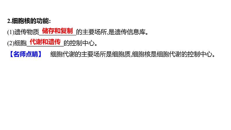 2025届高考 一轮复习 人教版 细胞核的结构和功能 课件(多选版)第7页