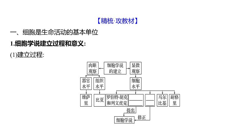 2025届高考 一轮复习 人教版 走近细胞 课件(多选版)第4页