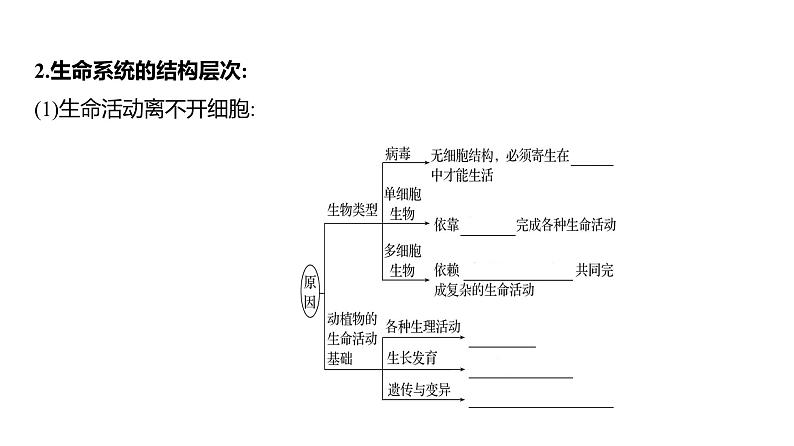 2025届高考 一轮复习 人教版 走近细胞 课件(多选版)第7页