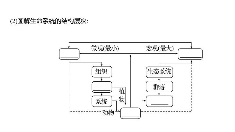 2025届高考 一轮复习 人教版 走近细胞 课件(多选版)第8页