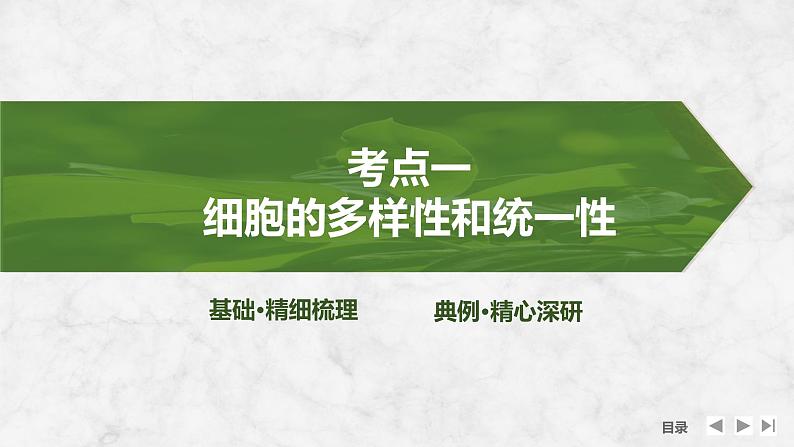 2025届高考 一轮复习 苏教版  借助显微镜走近细胞 课件(江苏版)第4页