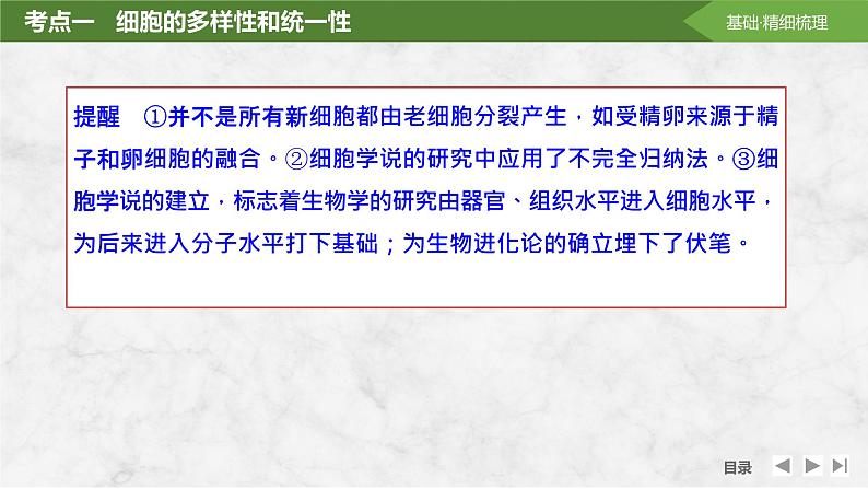 2025届高考 一轮复习 苏教版  借助显微镜走近细胞 课件(江苏版)第7页