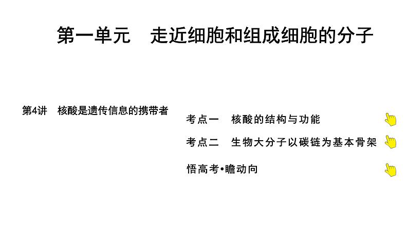 2025届高考 一轮复习 人教版 核酸是遗传信息的携带者 课件(多选版) (1)第1页