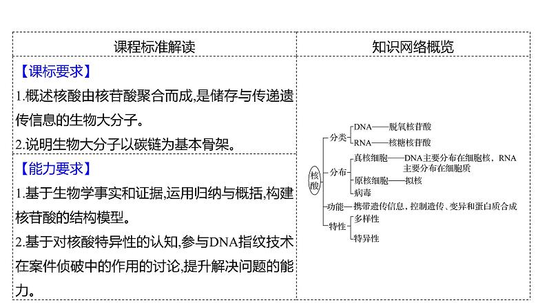 2025届高考 一轮复习 人教版 核酸是遗传信息的携带者 课件(多选版) (1)第2页