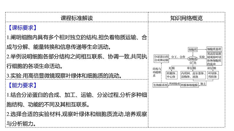 2025届高考 一轮复习 人教版 细胞器之间的分工合作 课件(多选版)02