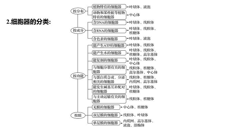 2025届高考 一轮复习 人教版 细胞器之间的分工合作 课件(多选版)05