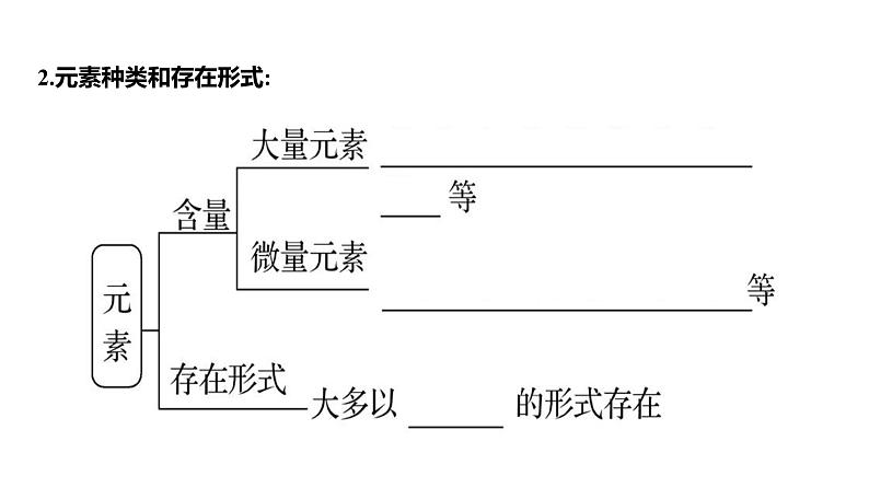 2025届高考 一轮复习 人教版 细胞中的元素、无机物、糖类和脂质 课件(多选版)第5页