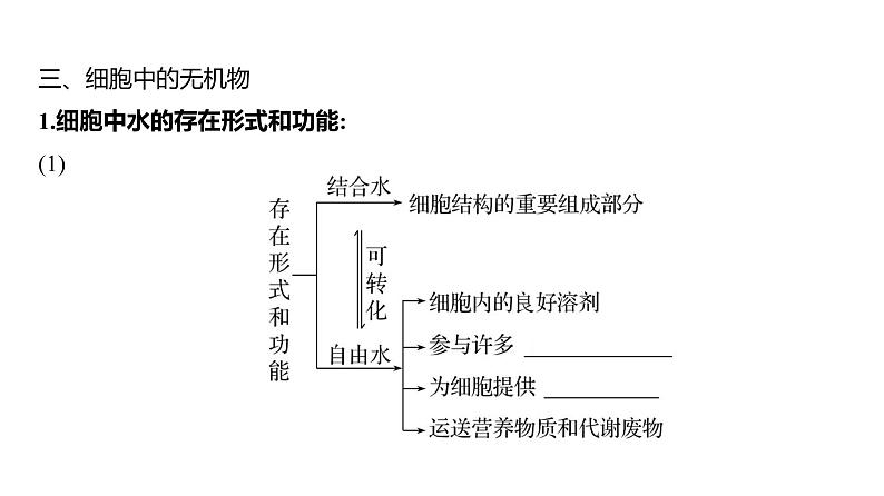 2025届高考 一轮复习 人教版 细胞中的元素、无机物、糖类和脂质 课件(多选版)第8页