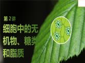 2025届高考 一轮复习 苏教版  细胞中的无机物、糖类和脂质 课件(江苏版)