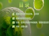 2025届高考 一轮复习 苏教版  细胞中的无机物、糖类和脂质 课件(江苏版)