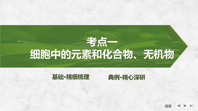 2025届高考 一轮复习 苏教版  细胞中的无机物、糖类和脂质 课件(江苏版)第4页