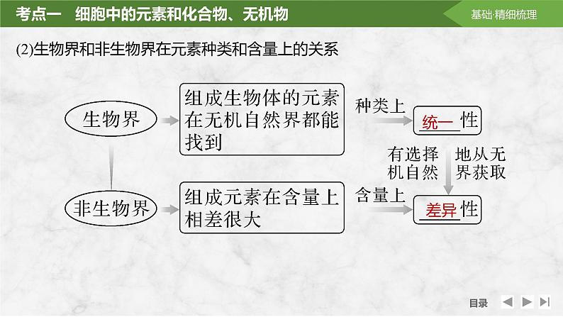 2025届高考 一轮复习 苏教版  细胞中的无机物、糖类和脂质 课件(江苏版)第7页