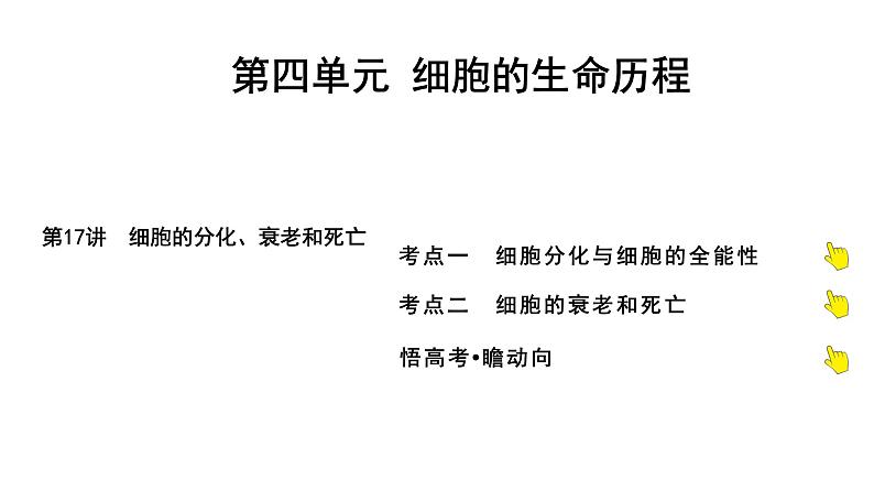 2025届高考 一轮复习 人教版 细胞的分化、衰老和死亡 课件(多选版)第1页