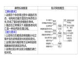 2025届高考 一轮复习 人教版 细胞的分化、衰老和死亡 课件(多选版)