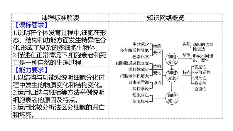 2025届高考 一轮复习 人教版 细胞的分化、衰老和死亡 课件(多选版)第2页