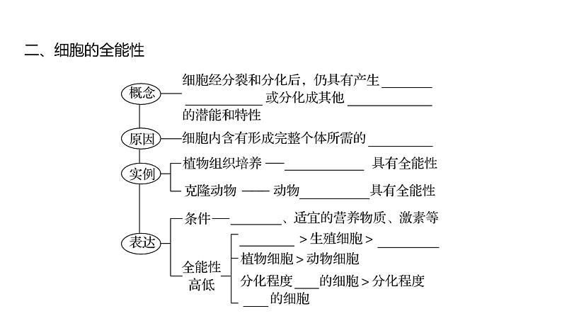 2025届高考 一轮复习 人教版 细胞的分化、衰老和死亡 课件(多选版)第6页