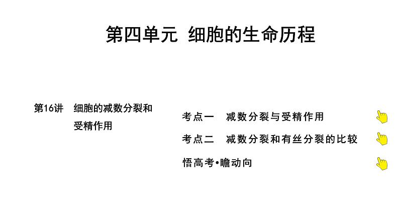 2025届高考 一轮复习 人教版 细胞的减数分裂和受精作用 课件(多选版)01