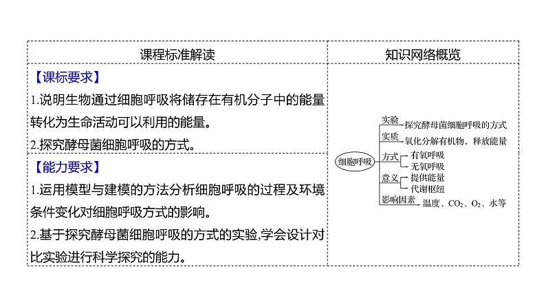 2025届高考 一轮复习 人教版 细胞呼吸的原理和应用 课件(多选版)第2页