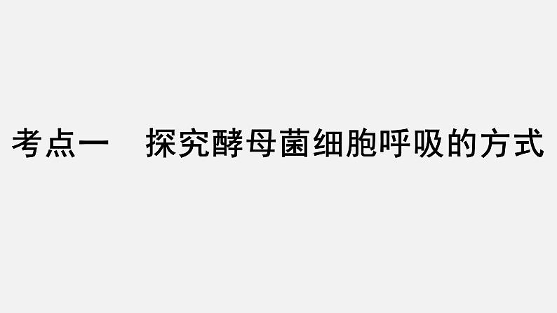 2025届高考 一轮复习 人教版 细胞呼吸的原理和应用 课件(多选版)第3页