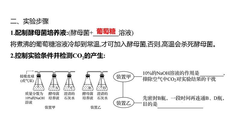 2025届高考 一轮复习 人教版 细胞呼吸的原理和应用 课件(多选版)第6页