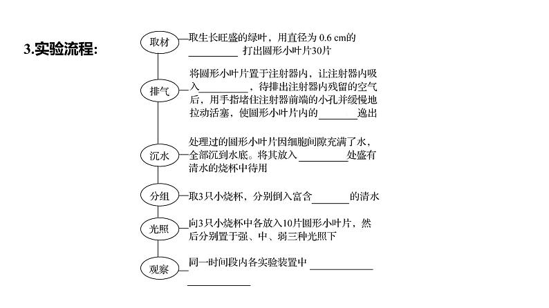 2025届高考 一轮复习 人教版 影响光合作用的因素及应用 课件(多选版)06