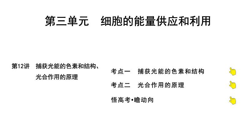 2025届高考 一轮复习 人教版 捕获光能的色素和结构、光合作用的原理 课件(多选版)01