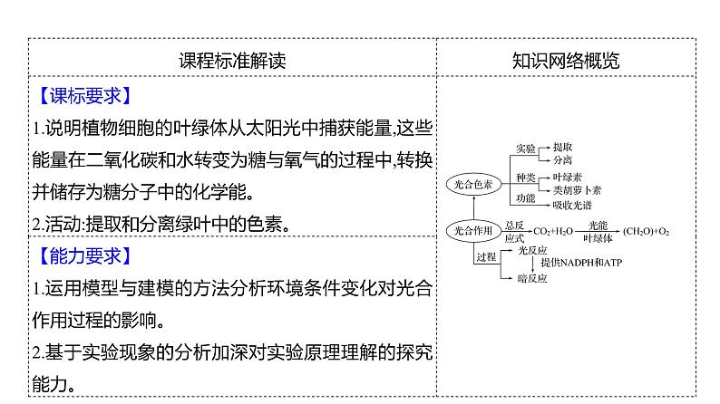 2025届高考 一轮复习 人教版 捕获光能的色素和结构、光合作用的原理 课件(多选版)02